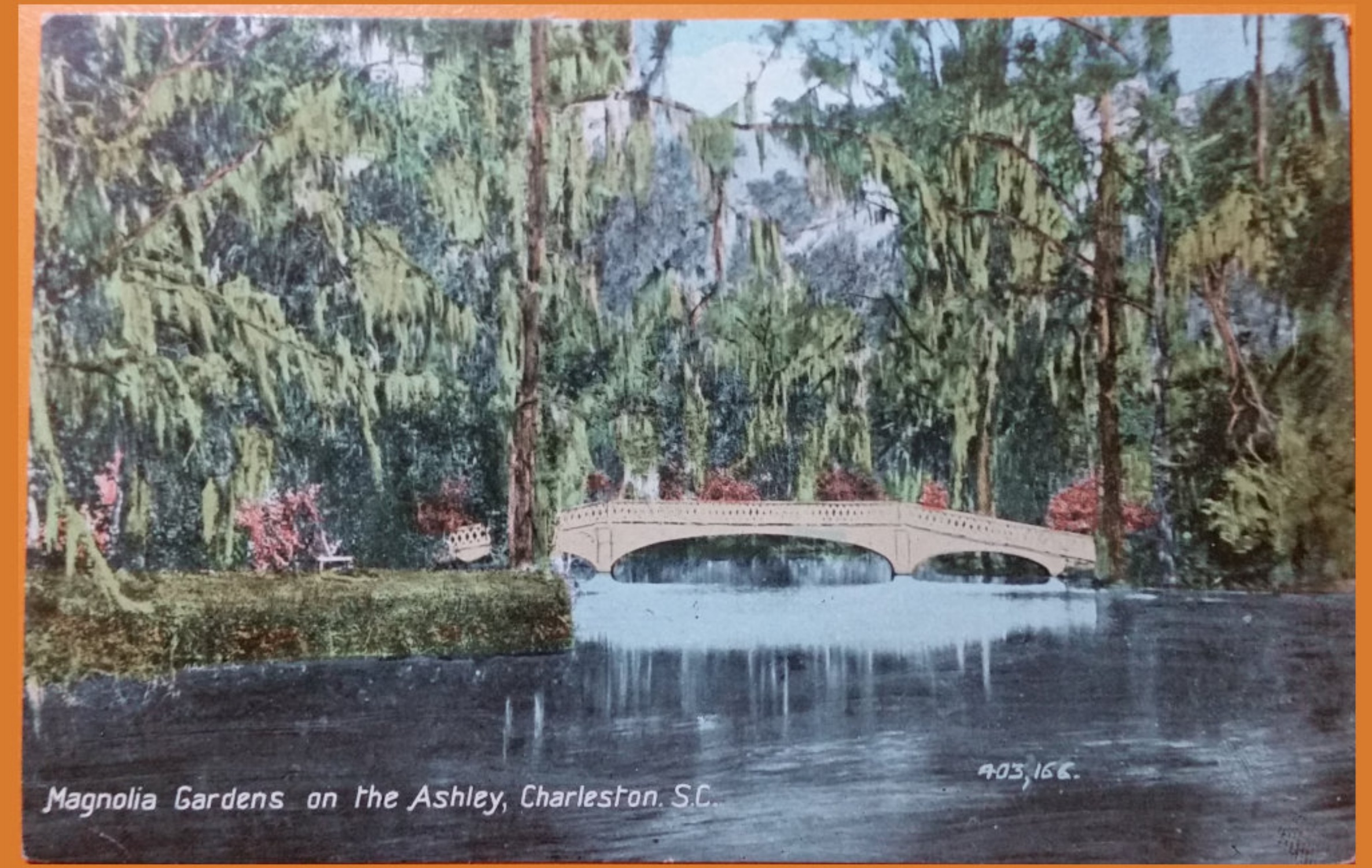 (image for) postcard USA - SC - South Carolina #0001
